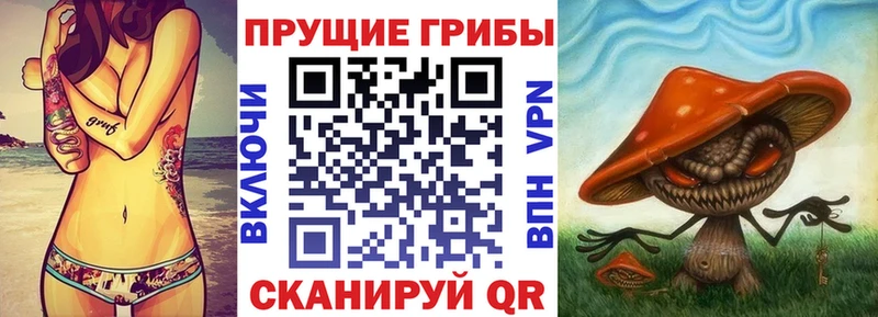 Галлюциногенные грибы мицелий  продажа наркотиков  Красково 